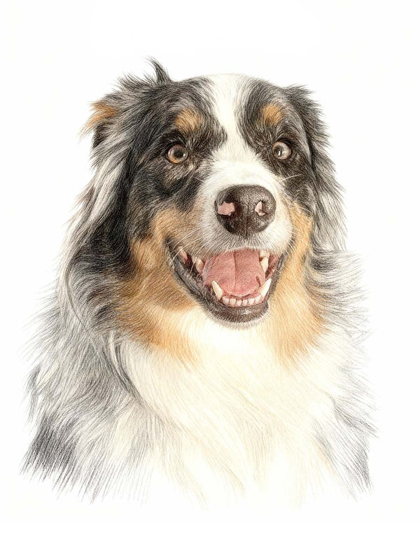 Colored Pencil Drawing